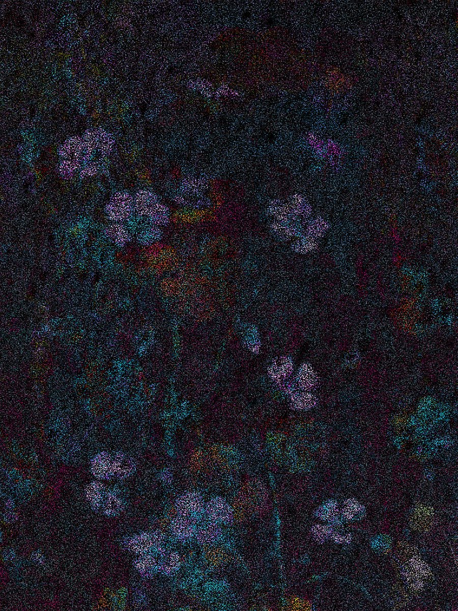 DEZNOYZE tweet media