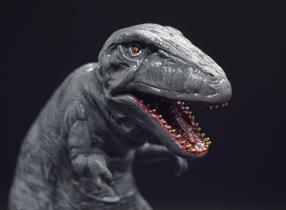 seismictoys's tweet image. Our upcoming release of the Last Dinosaur is available for #preorder today. You can order one now on our website. 
.
.
seismictoys.com/product-page/t…
.
.
#dinosaurtoys #seismictoys