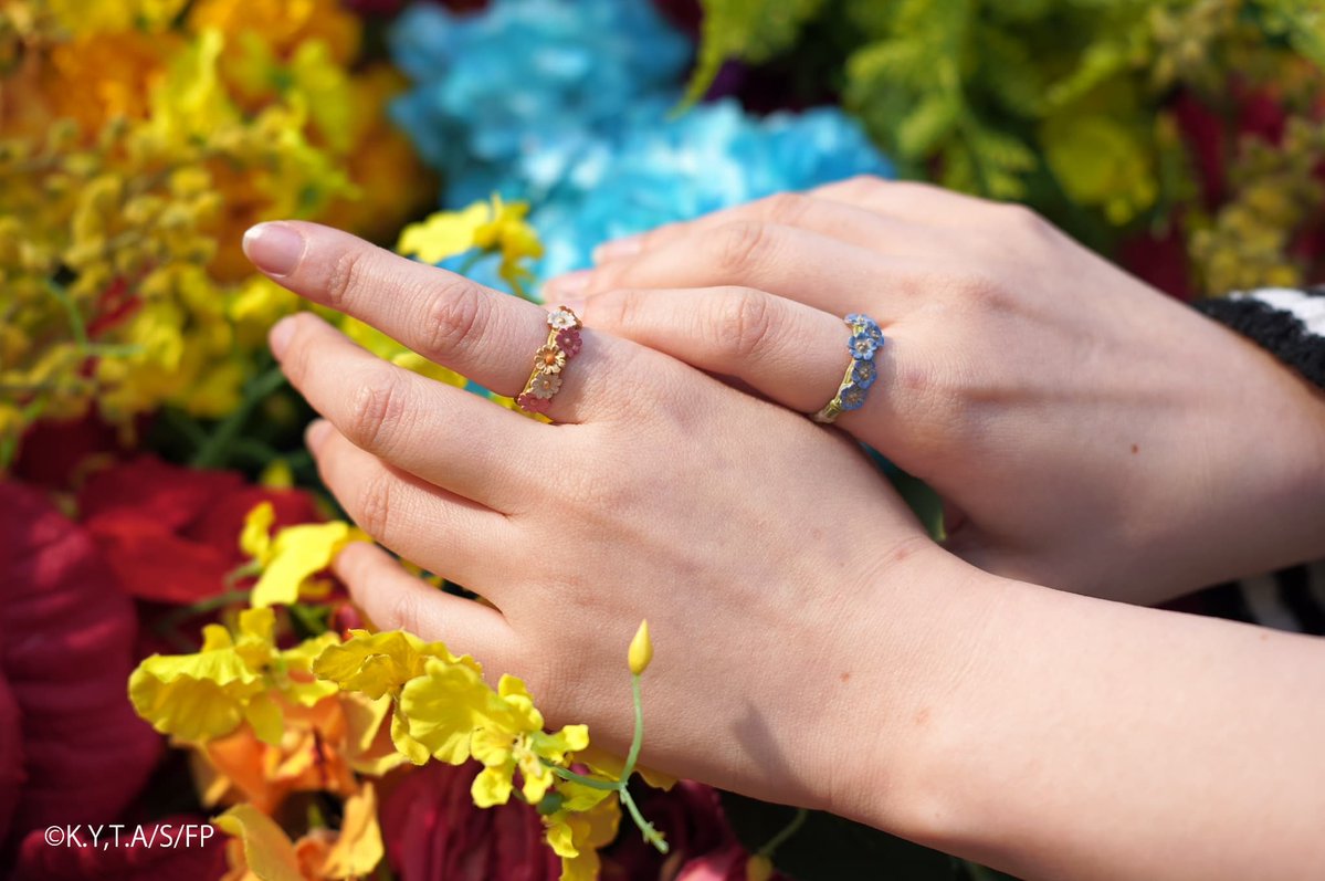 TOHO animation STORE ONLINE tweet media