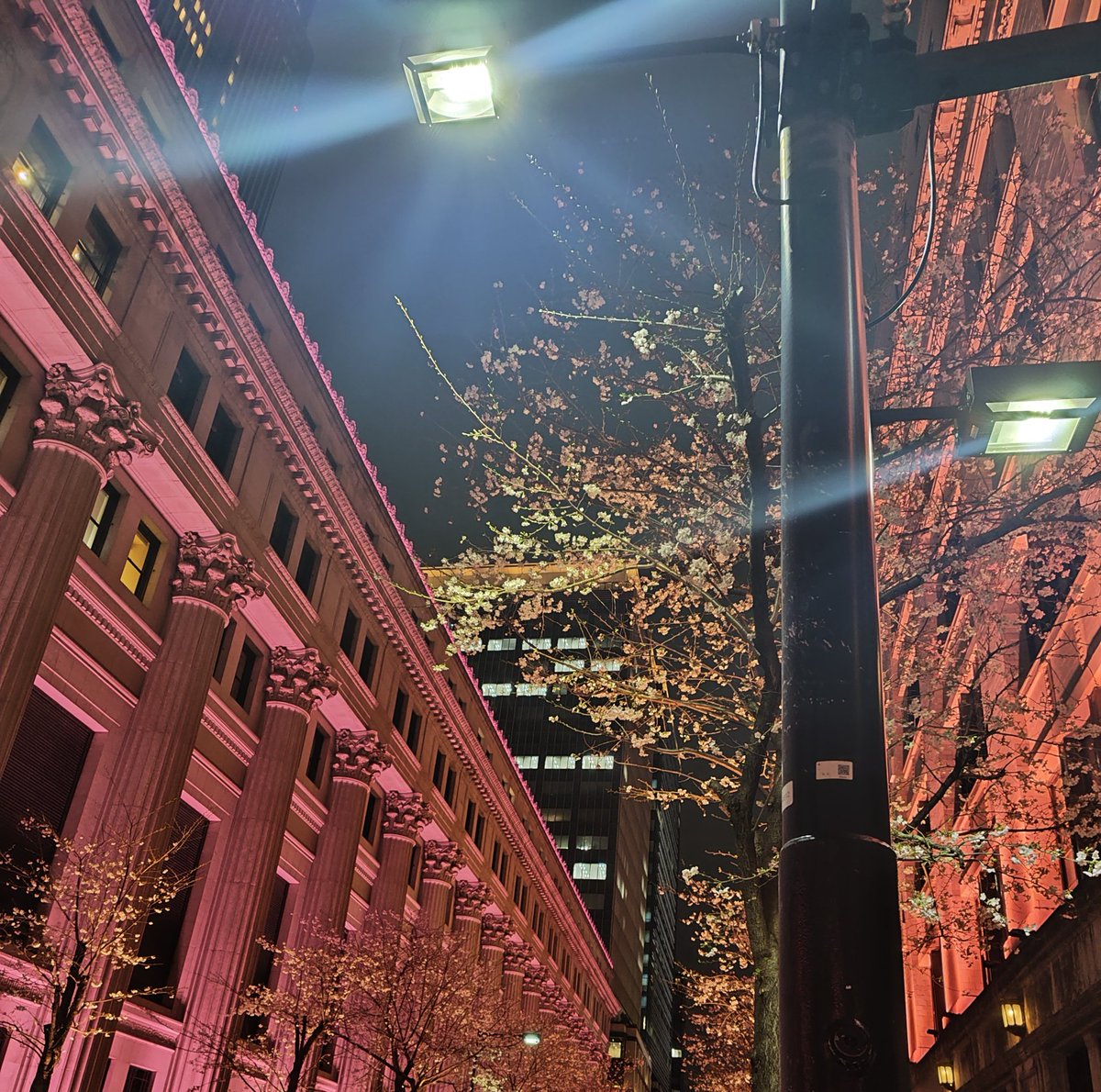 ゆい＠窓際金融系OL tweet media