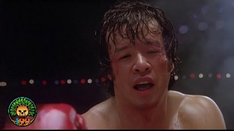 Tr33B3AR tweet media