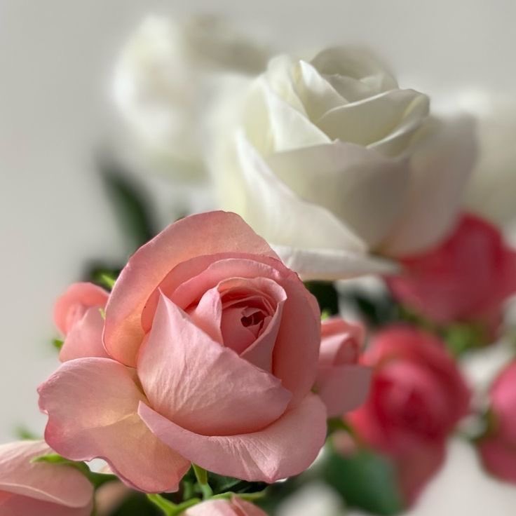 حــــنان💛 tweet media