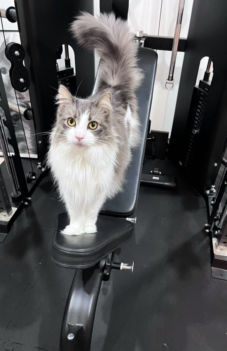 関家の日常 tweet media