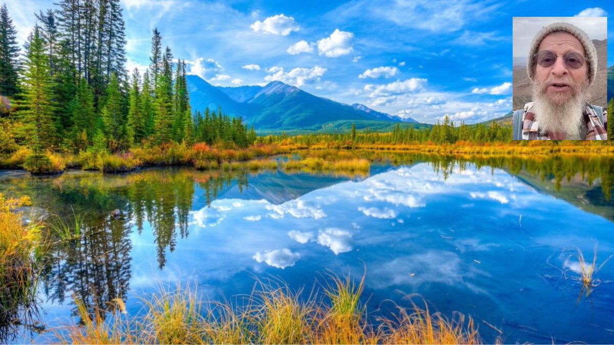 Eli Weber tweet media