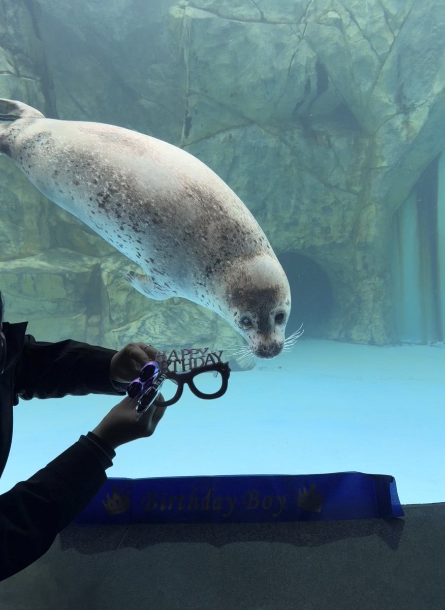 bui🐈🦭 tweet media