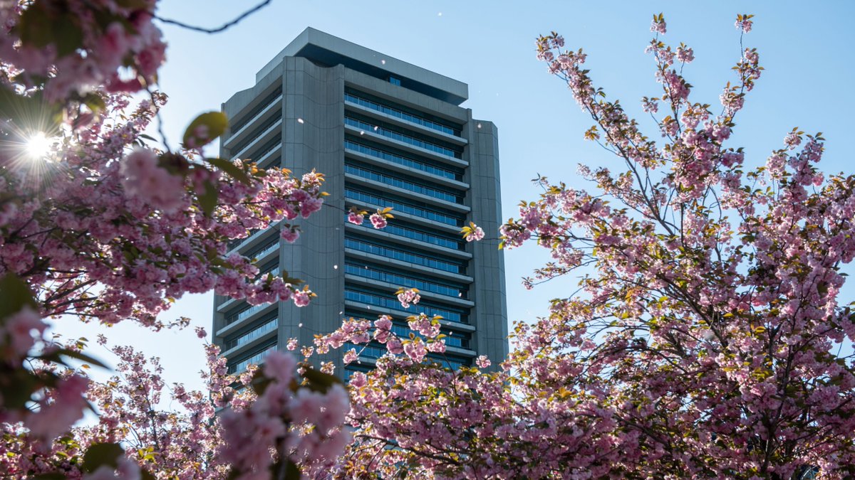 Provincie Noord-Brabant tweet media