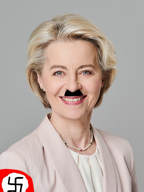 IonutDN tweet media