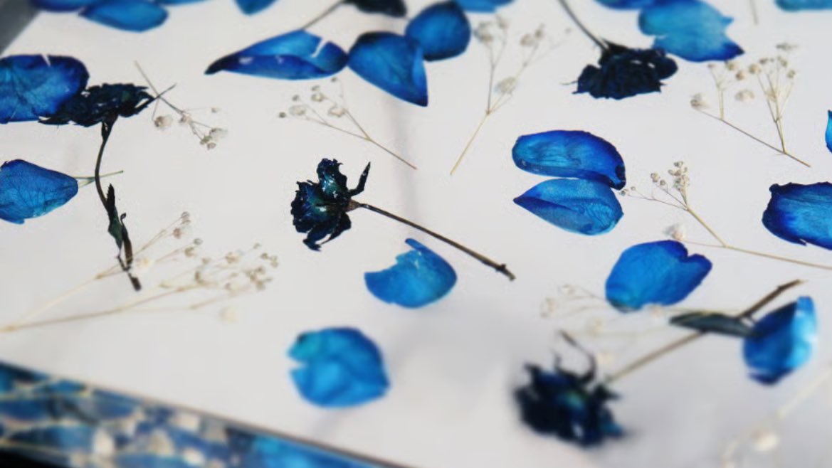 MABATAKI美雨 tweet media