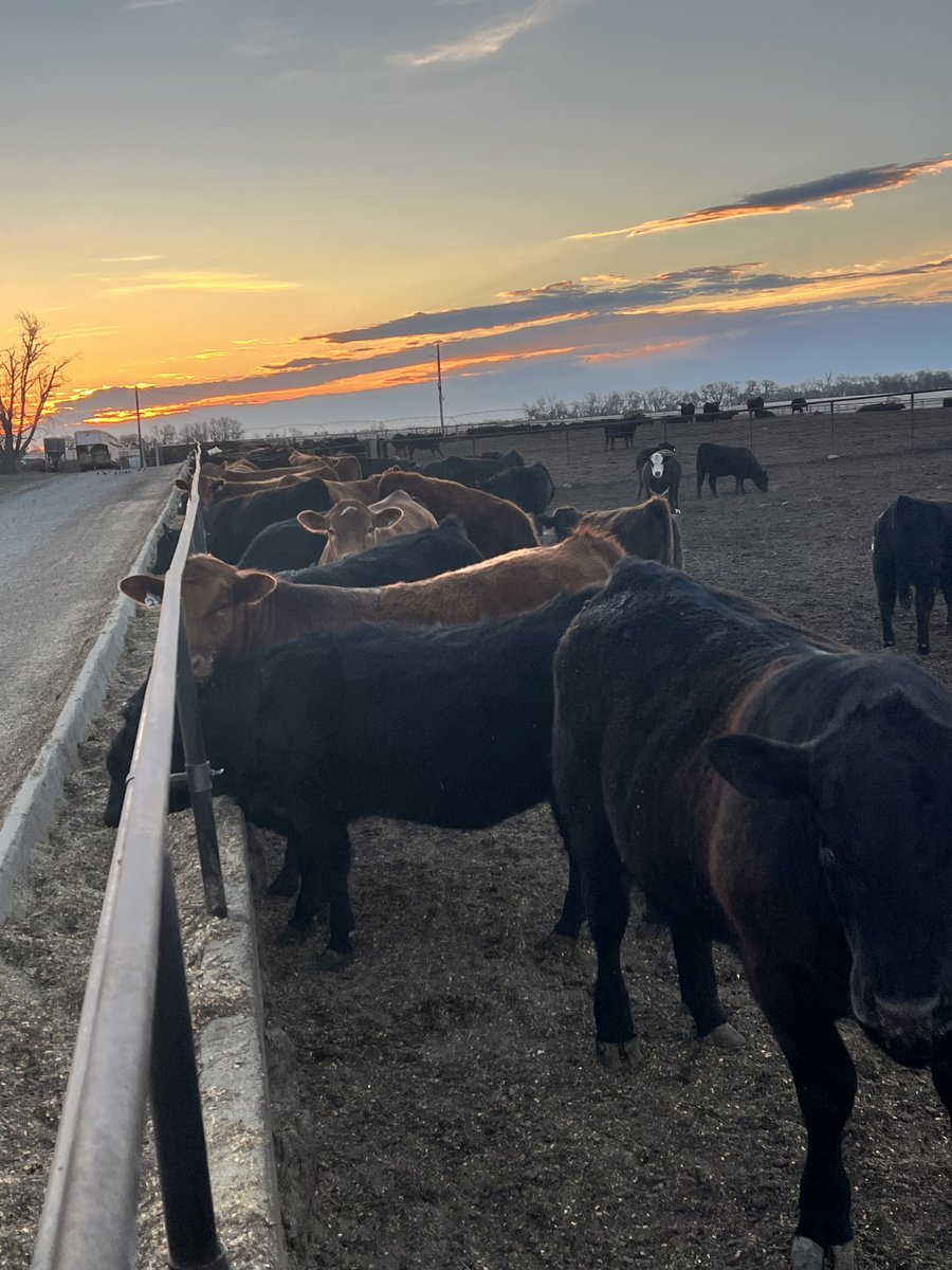 Chad Engle. tweet media