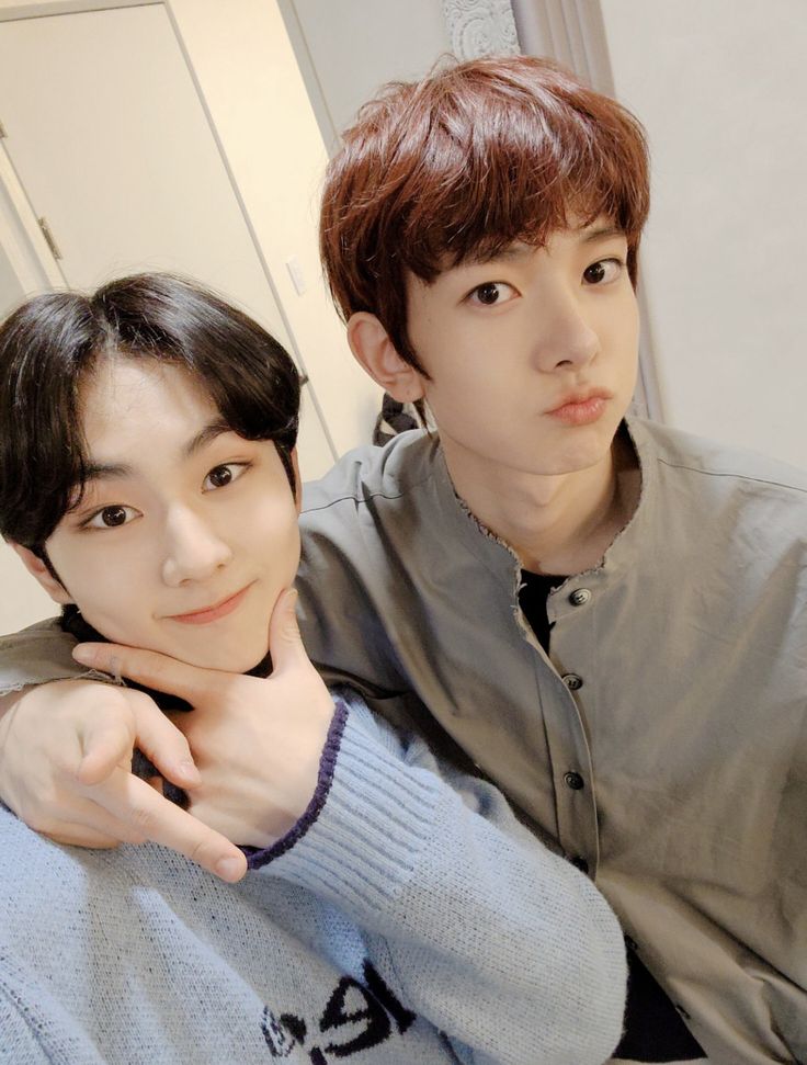 n | ENHYPEN IS 7 tweet media