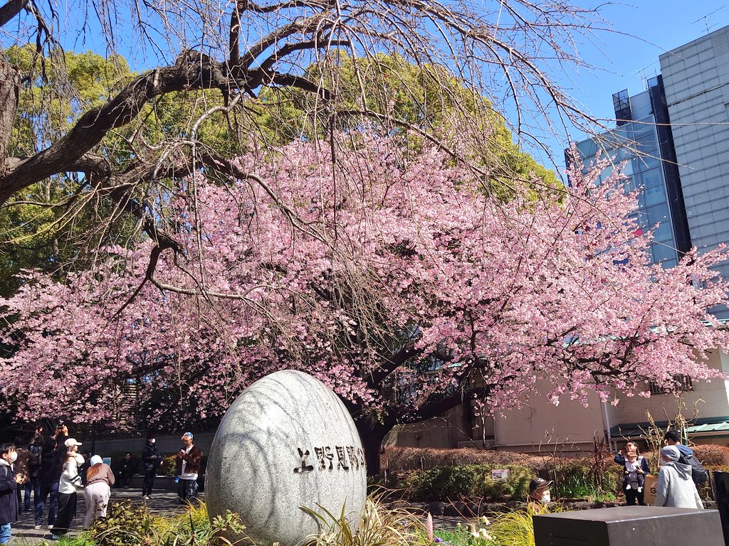 ちゃた tweet media