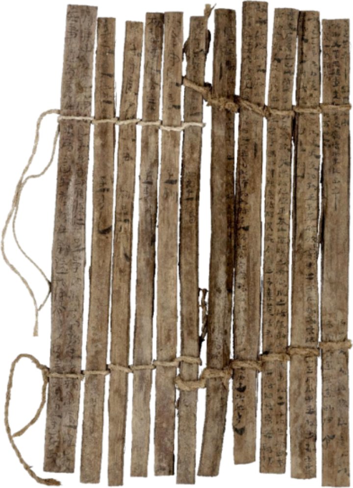 Lisa Villarreal tweet media