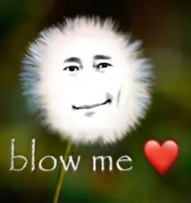 THY_APPLE tweet media