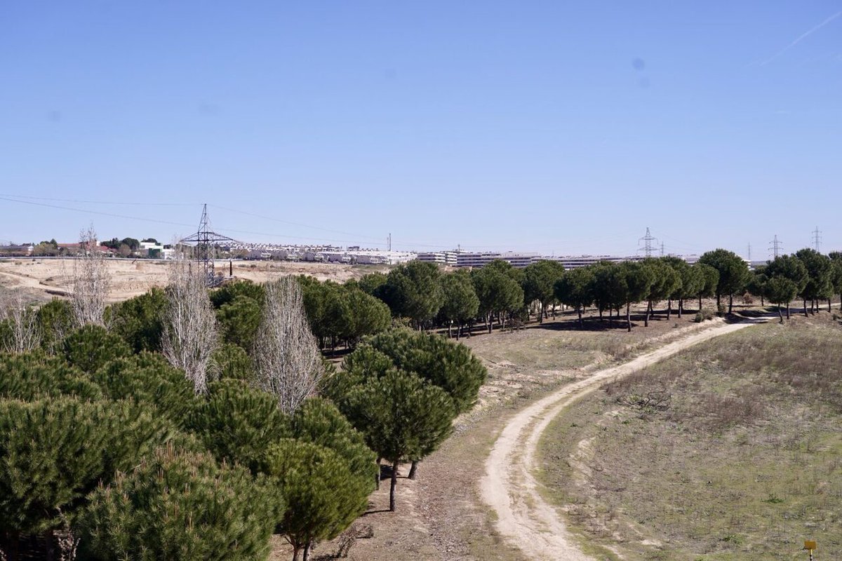 Ayuntamiento Madrid tweet media