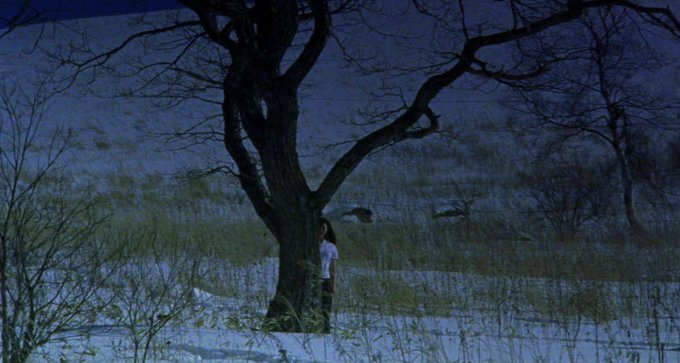 Stephen Gibbons tweet media