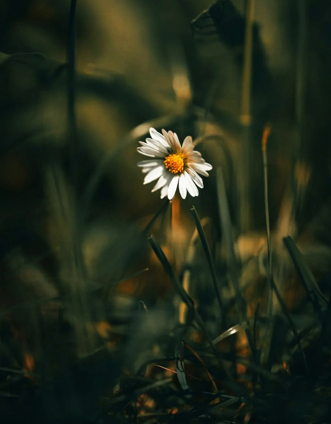 M.M. Madrugada tweet media