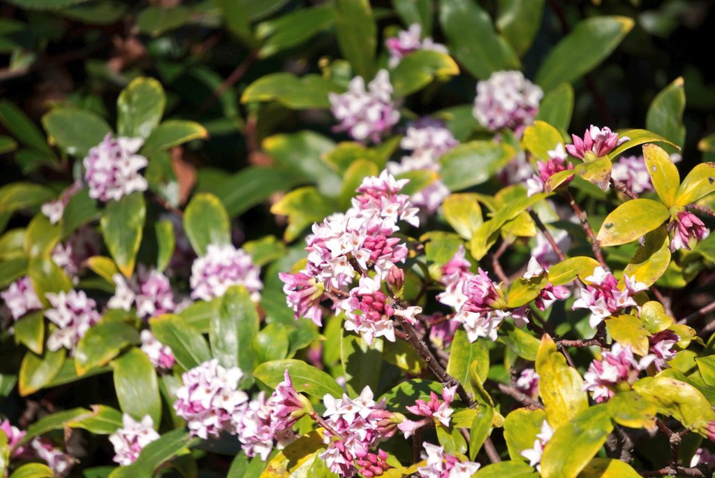 ちゃた tweet media