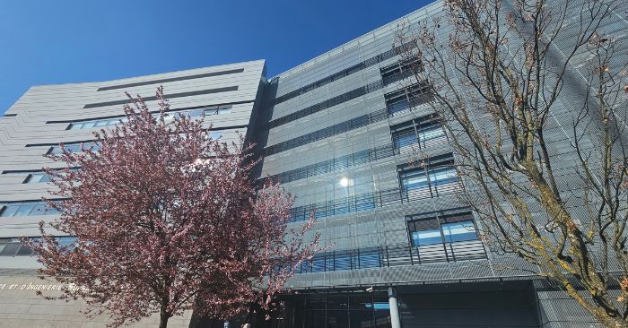 Functional NanoBioMaterials Group tweet media