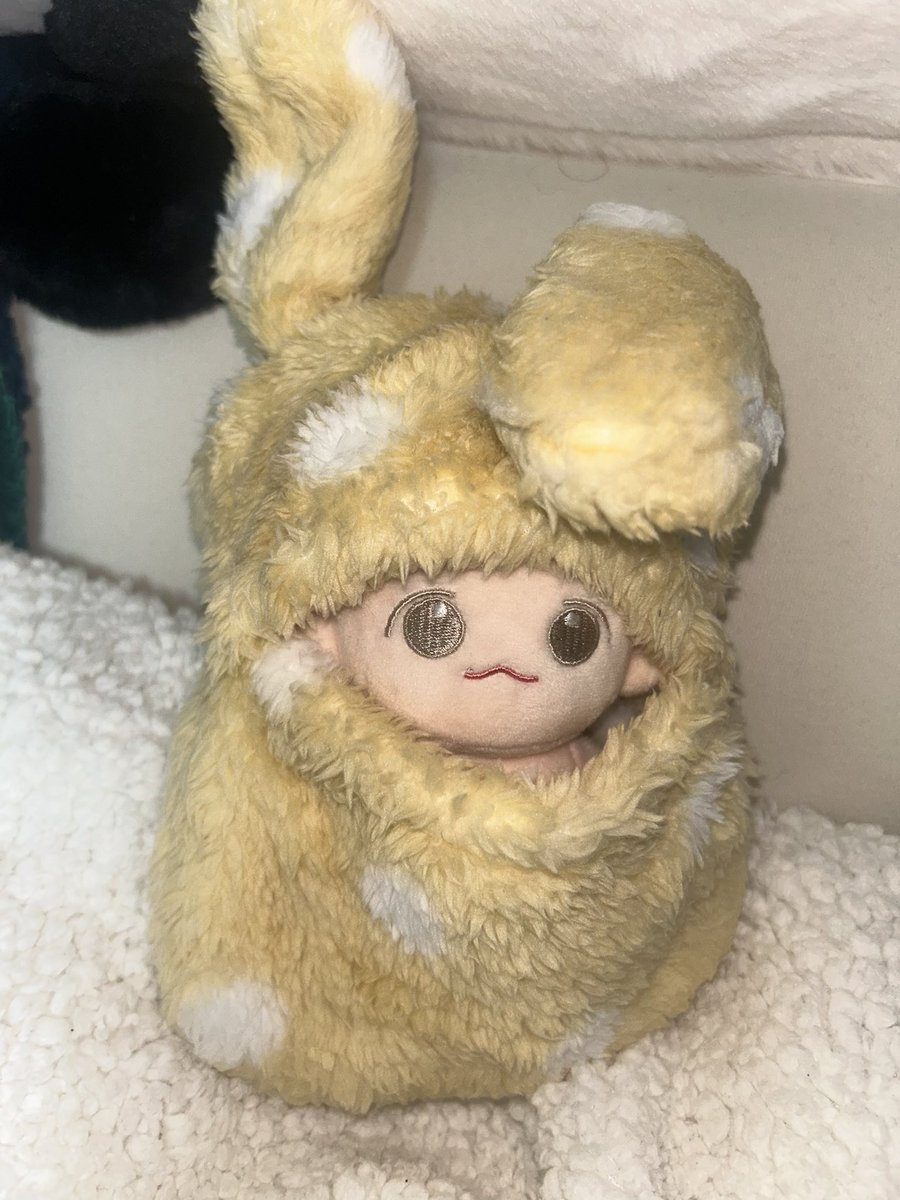 양도계 tweet media