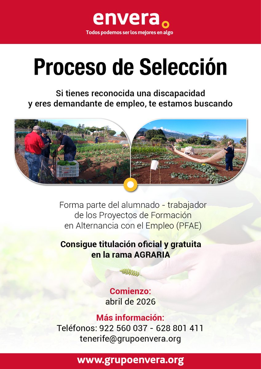 Envera 💚 tweet media