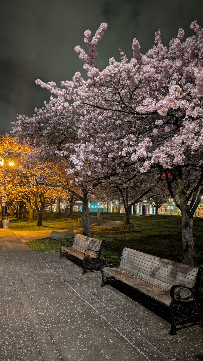 Ravenclaw tweet media