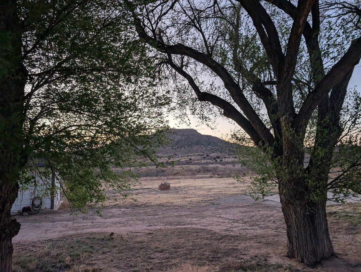 King Opinionated Jerk! tweet media