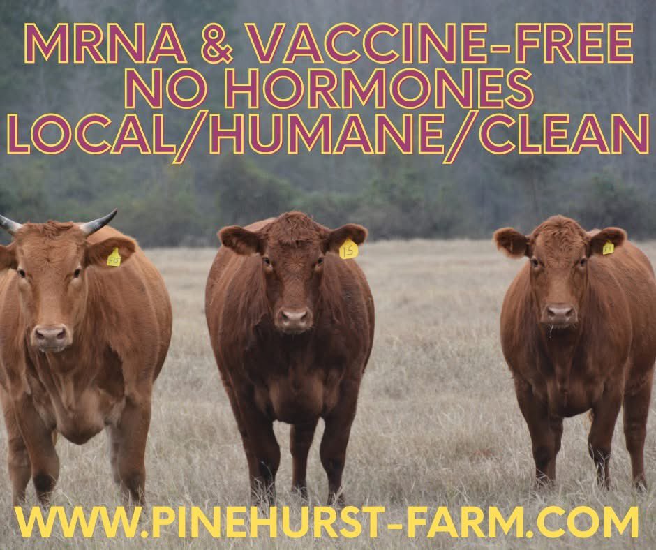 Pinehurst Farm tweet media