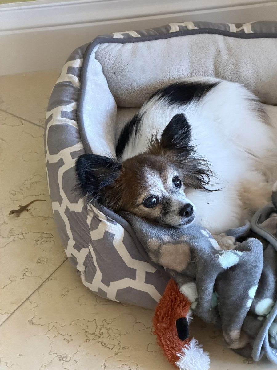 Jeremy Judkins tweet media