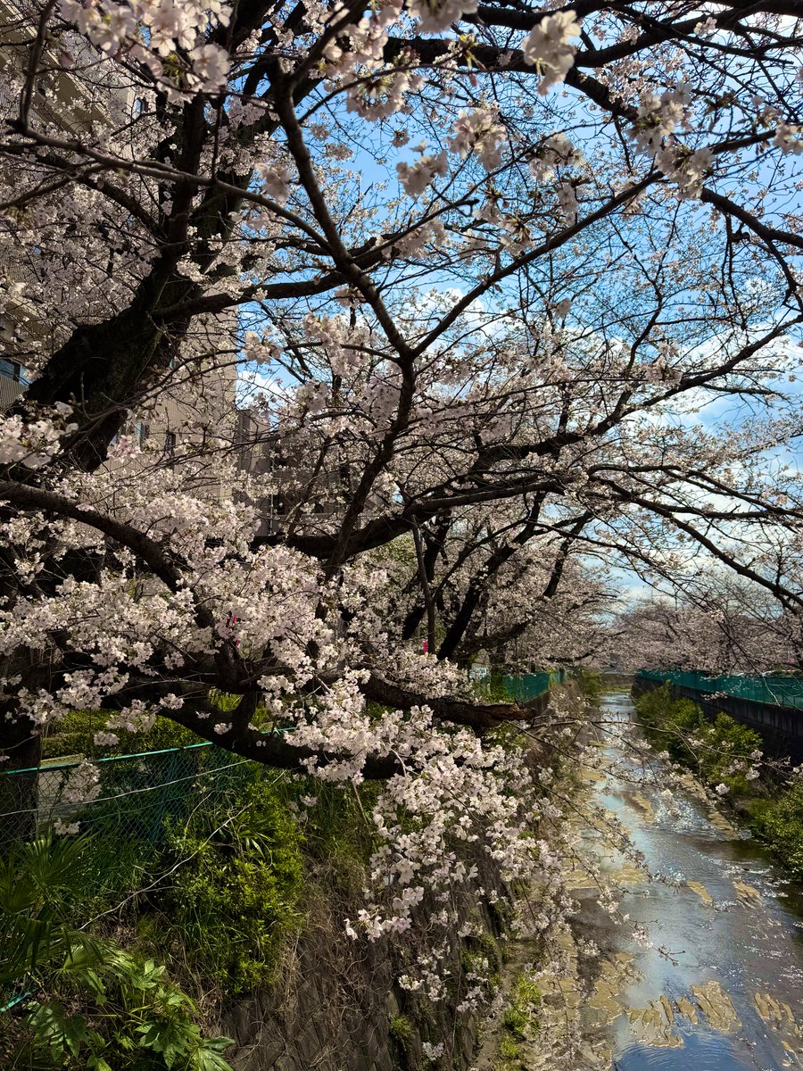 ロコっち新百合ヶ丘 tweet media