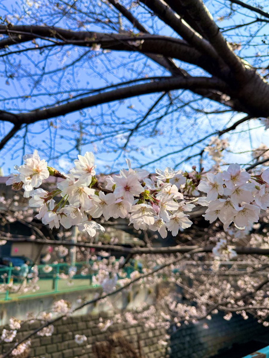 ロコっち新百合ヶ丘 tweet media