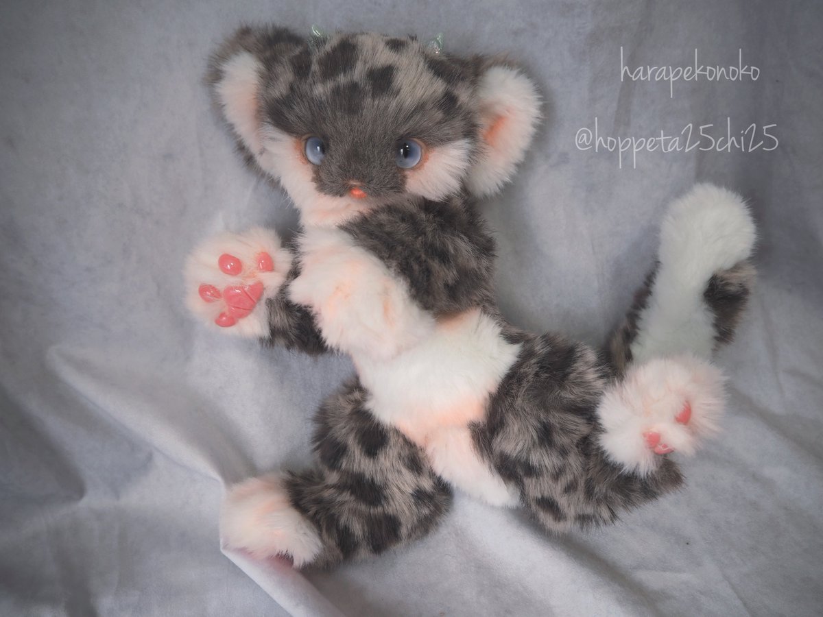 hoppeta25chi25's tweet image. 『ほどけるコ』

雪解けを、
春を、

空高く
解き放て

#ハラペコノコ #artdoll ↓つづく