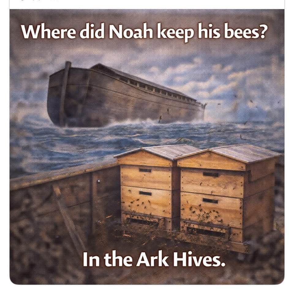 BarbieGirl tweet media