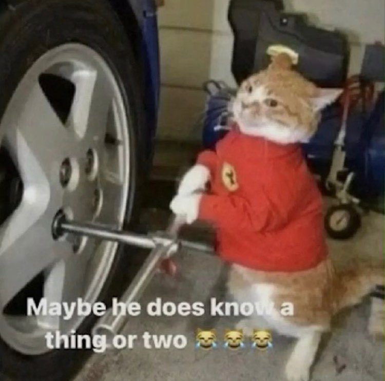 John Wicker Park tweet media