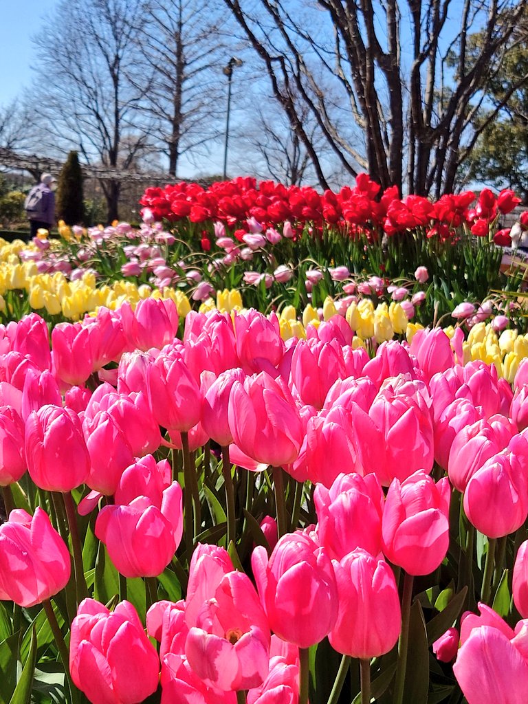 ちゃた tweet media