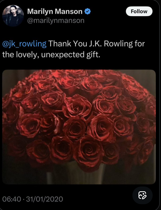 BionicSparkle🦁💭 tweet media