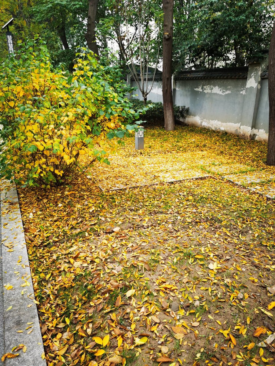 filipe ferreira tweet media