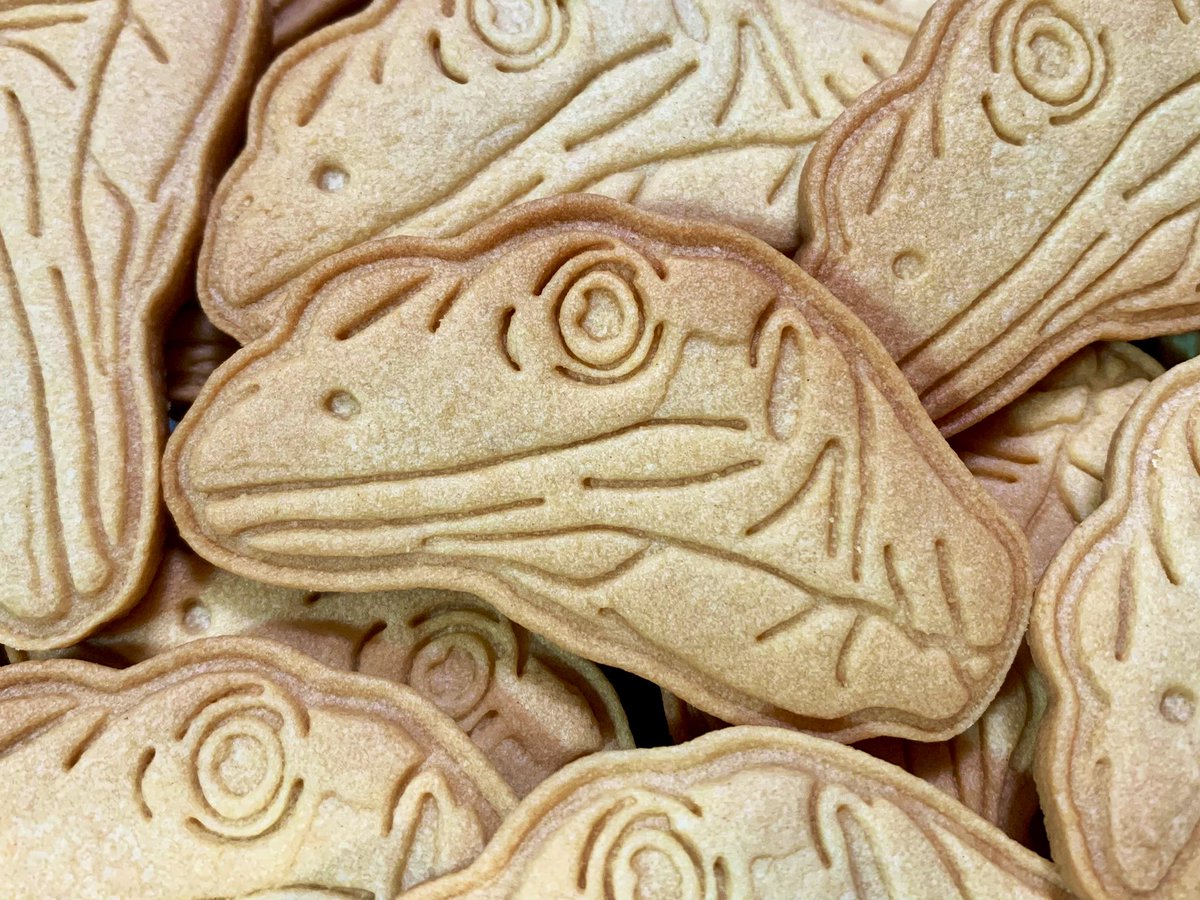 透々(スズ)@甘とレプタイルズ tweet media