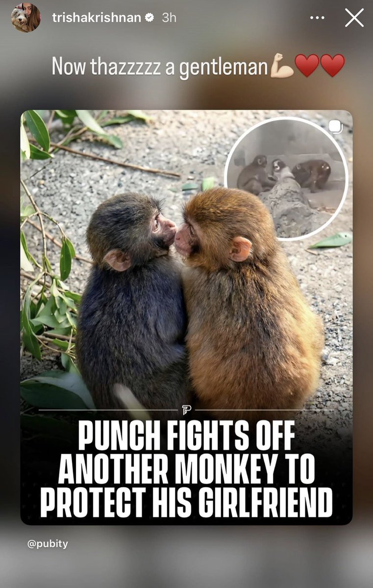 𝗙𝗿𝗮𝗻𝗸𝘆 𝗕𝗼𝘆 🧊 tweet media