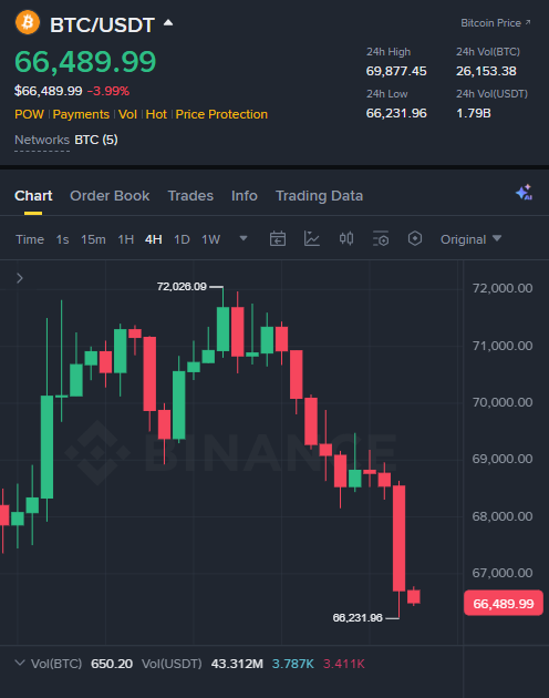 Solo Top tweet media