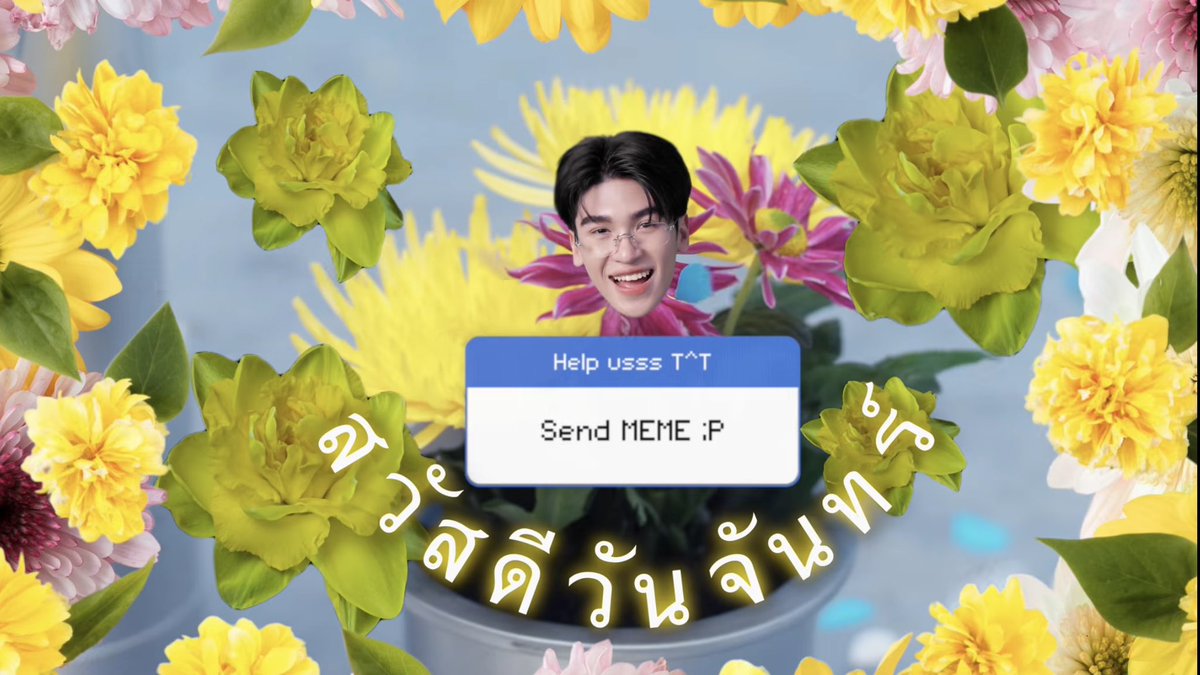 สอชอส้มเช้ง 🍊 tweet media