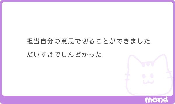 宇宙猫 tweet media