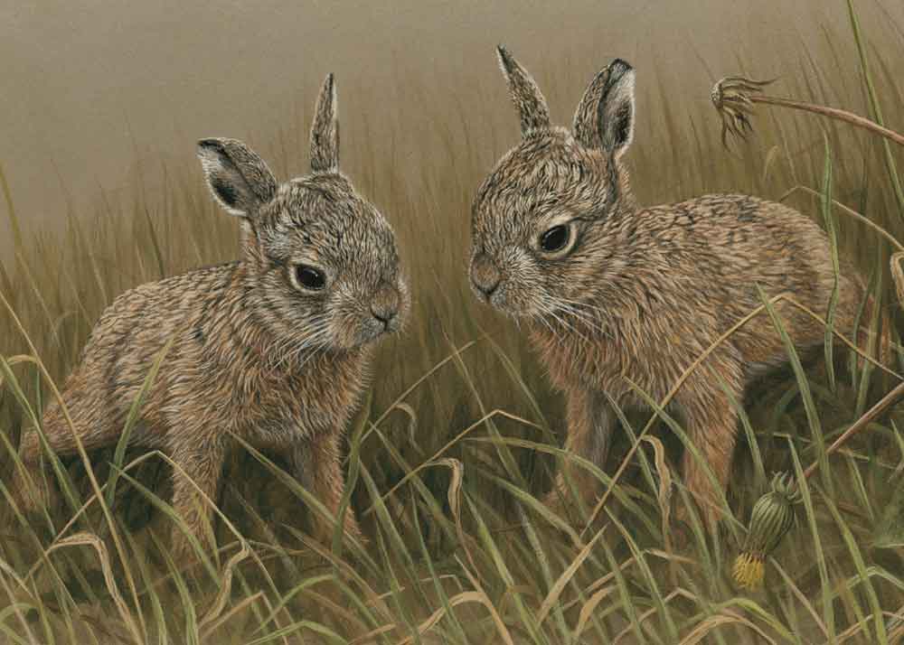 Robert E Fuller tweet media