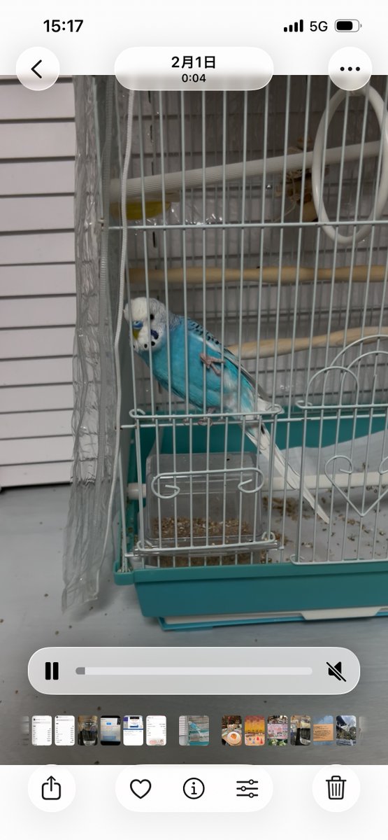 認定NPO法人TSUBASA -新施設クラファン達成しました！- tweet media