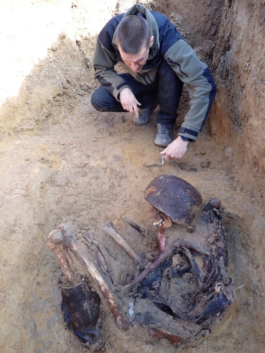 Darius J. Piwowarczyk tweet media