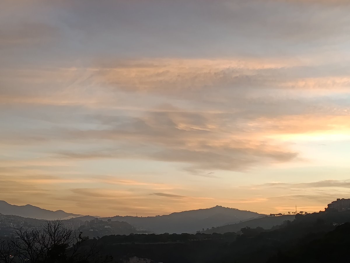 Juan Vicente Pinto tweet media