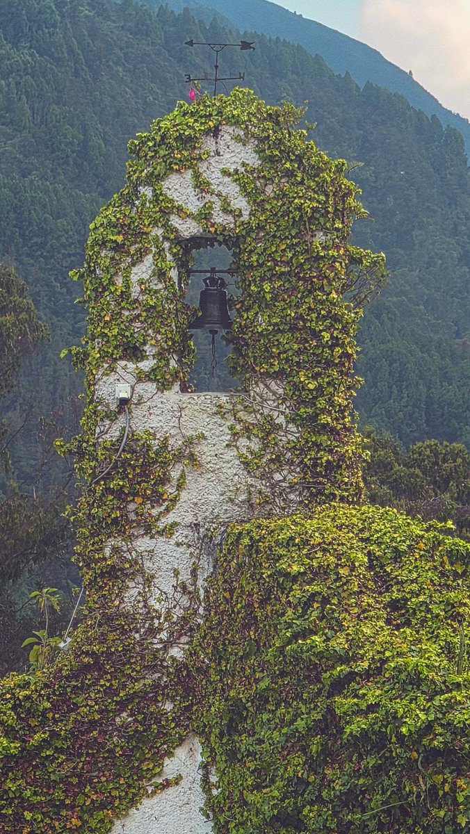  Seteven Hijo Neturo tweet media