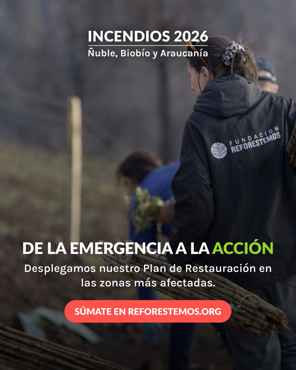 Fundación Reforestemos tweet media