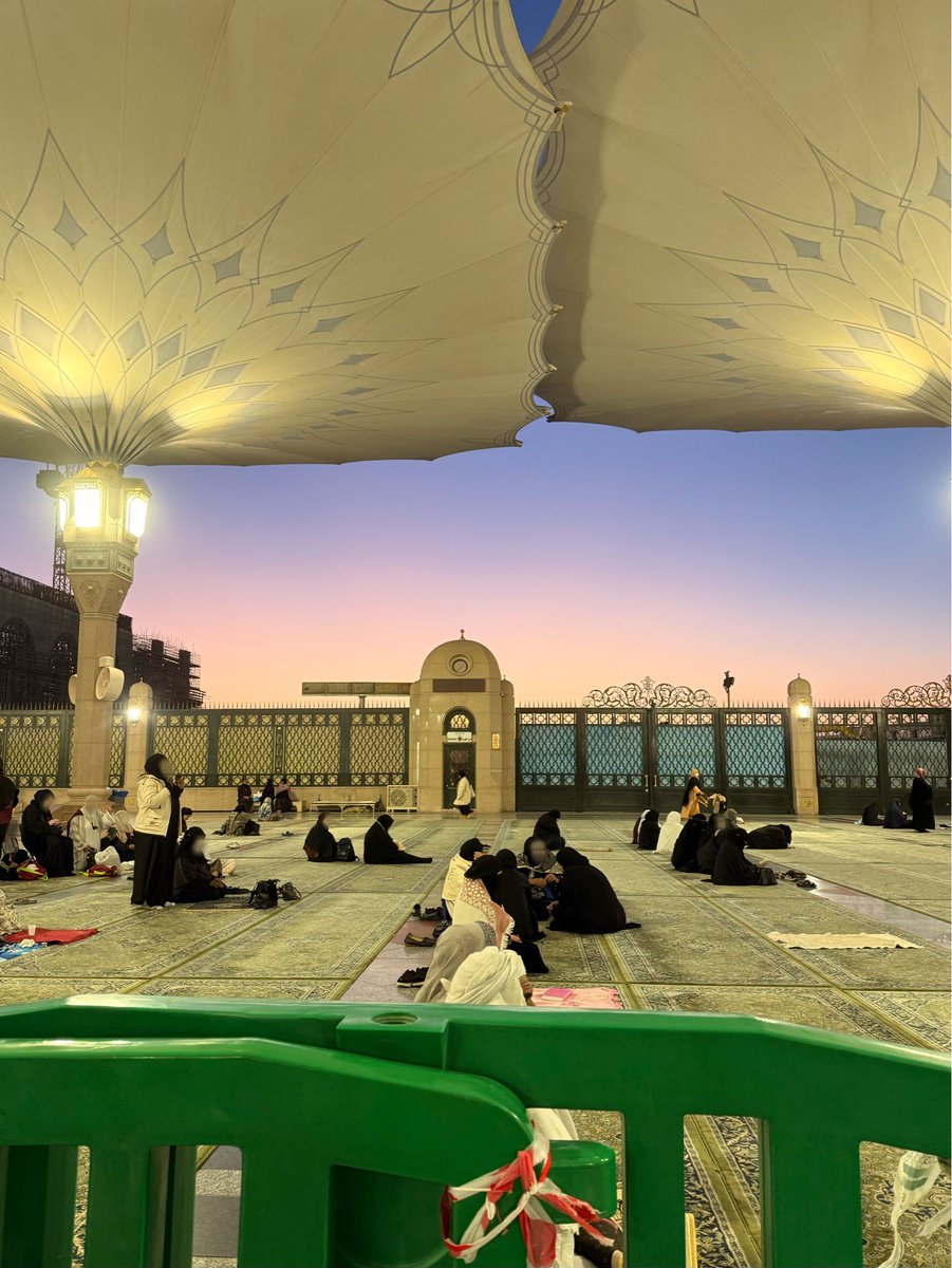 sara ღ tweet media