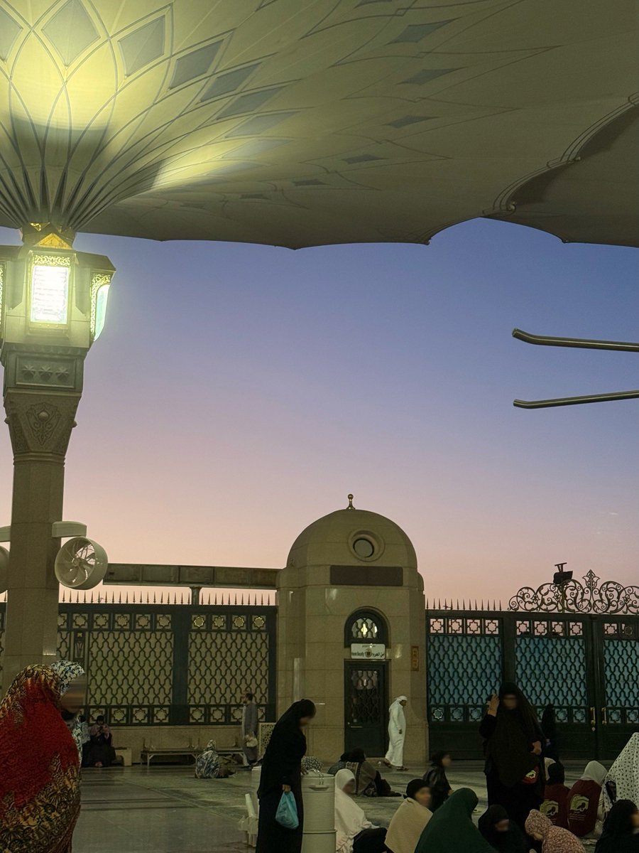 sara ღ tweet media