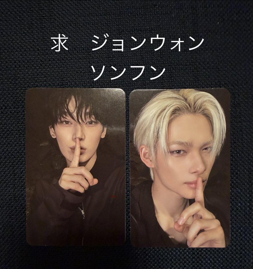 バンビ派🦌 tweet media